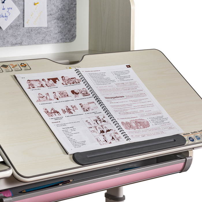 Дитячий стіл Mealux Winnipeg Multicolor MG + PN (арт.BD-630 MG + PN Multicolor)