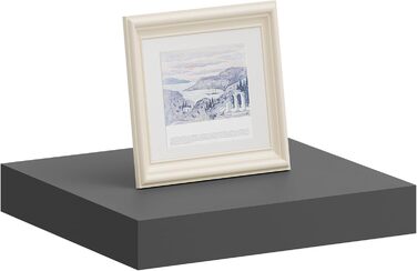 Полиця настінна WOLTU Wandboard RG9315sz для CD, DVD, книг, офісу, вітальні, спальні, кухні - дерев'яна