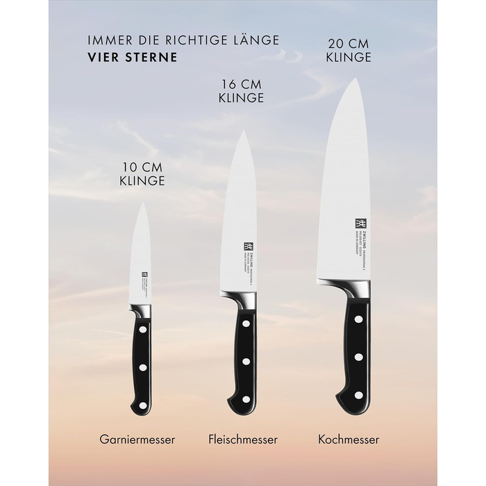 Набір кухонних ножів ZWILLING Professional S, 3 предмети (10 см, 16 см, 20 см), Made in Germany