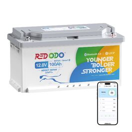 LiFePO4 акумулятор Redodo 12V 100Ah для підсидіння з Bluetooth та Smart BMS 100A, DIN H8/L5 (H190)