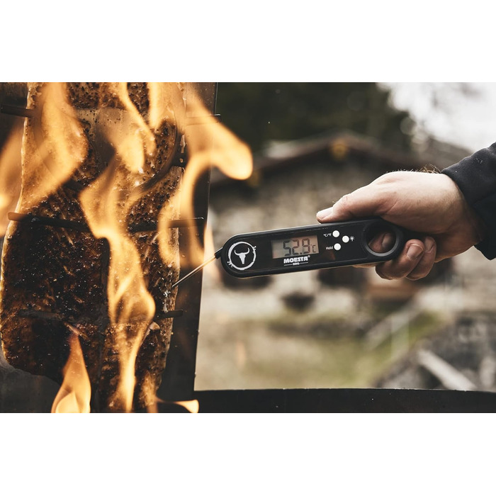 Дошка для приготування лосося MOESTA-BBQ XXL з нержавіючої сталі, FlameBoard, поворотна, для лосося до 60 см