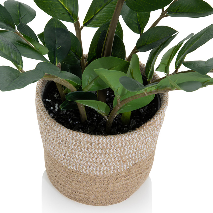 Штучна рослина / штучне дерево ZAMIE Zamioculcas green hjh ОФІС