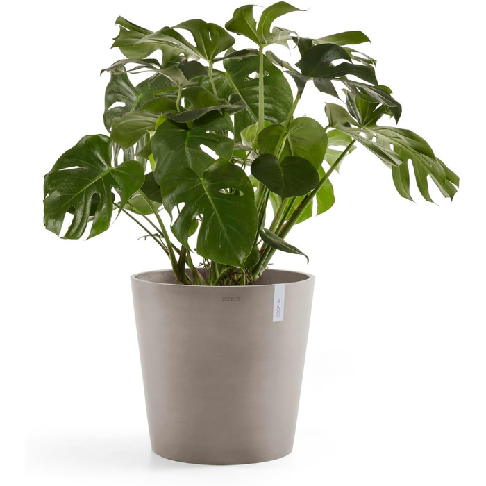 Еко-горщик Ecopots Gross Taupe: великий квітковий горщик 50x50x44.3 см