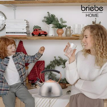 Чайник briebe Nordic 2,3 л для індукції, ретро фітинг, нержавіюча сталь, фло́товий, усі типи плит, дерев'яна ручка, зелений/бронзовий, для чаю та кави