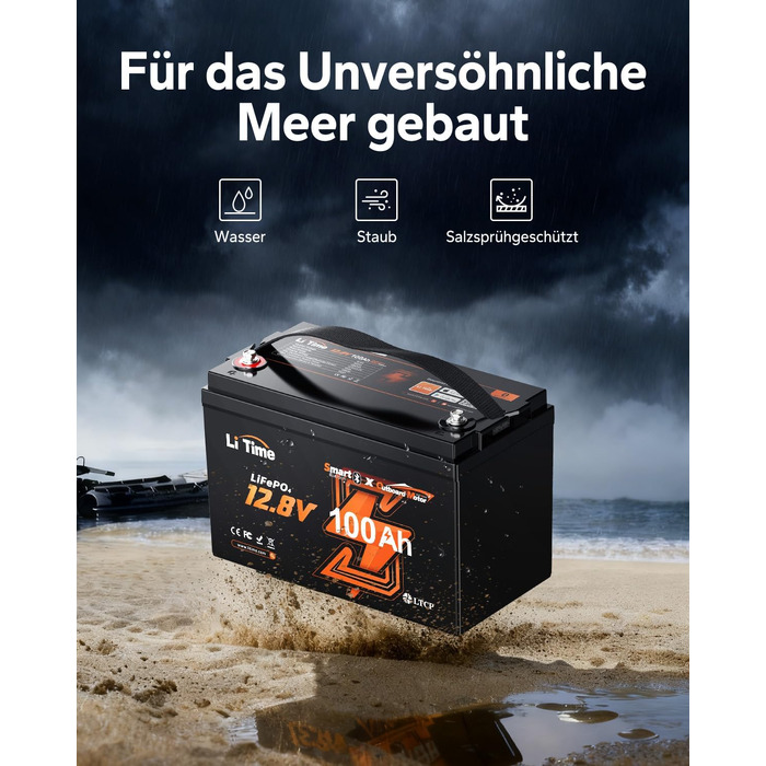 LiFePO4 акумулятор LiTime 12V 100Ah з Bluetooth для кемпінгу, житлових будинків та електромоторів човнів