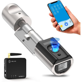 Розумний електронний замок WELOCK Touch41 WiFi з відбитком пальця, RFID-картою, Bluetooth, додатком, IP65, для дверей