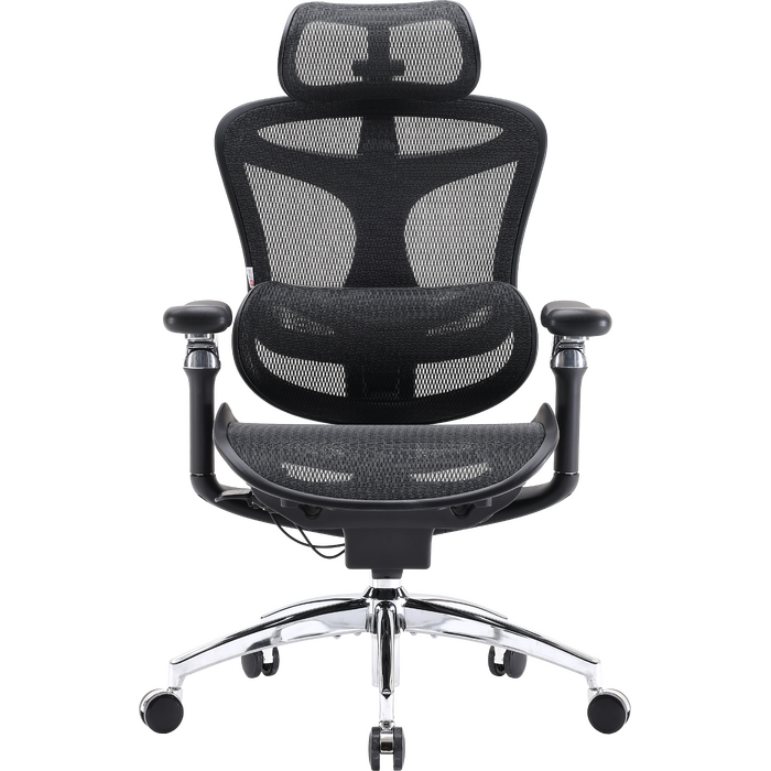 Крісло офісне Sihoo DORO C300 Pro Mesh Black