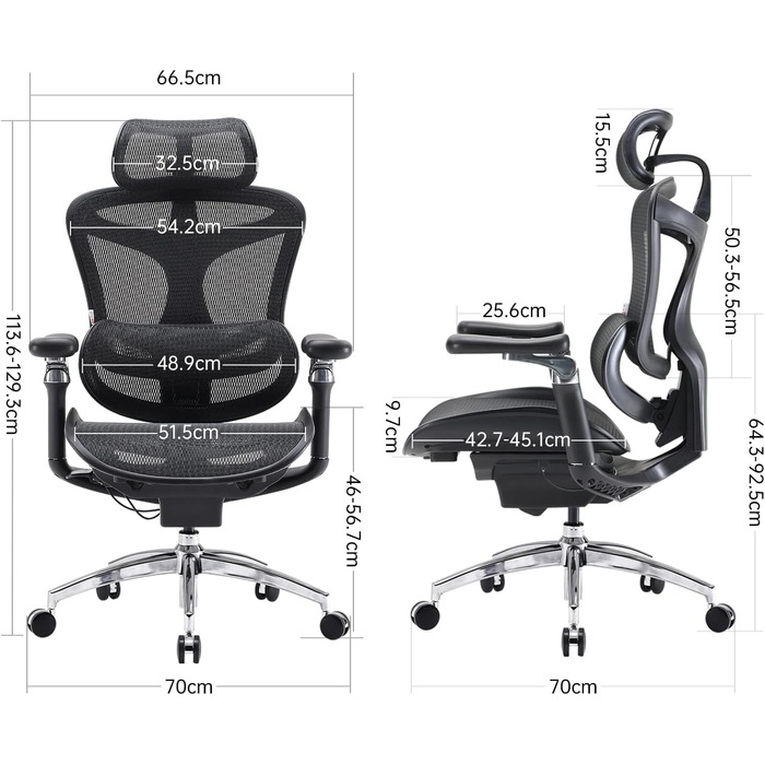 Ергономічне офісне крісло SIHOO Doro C300 Pro black з підлокітниками 6D та підтримкою попереку