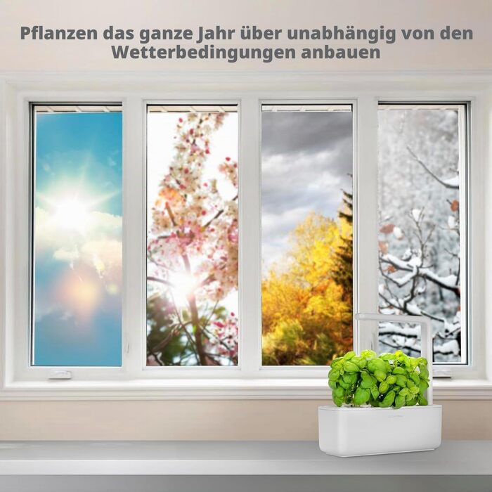 Click and Grow Growbox Smart Garden: Розумний сад для вирощування зелені вдома (3 капсули) - Білий