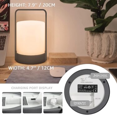 Портативна LED акумуляторна металева лампа для вулиці, димована, USB-зарядка, 8 кольорів RGB, для столу, бару, кемпінгу, саду, тераси, вітальні