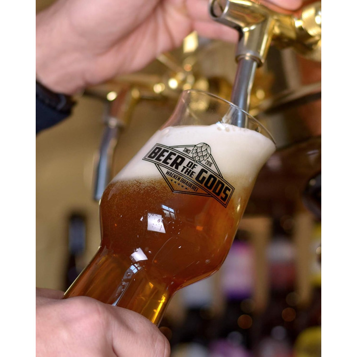 Набір пивних келихів WACKEN BRAUEREI 3 шт. для стауту, IPA, Pale Ale - 300/500 мл, Craft Beer, придатні для мийки в посудомийній машині