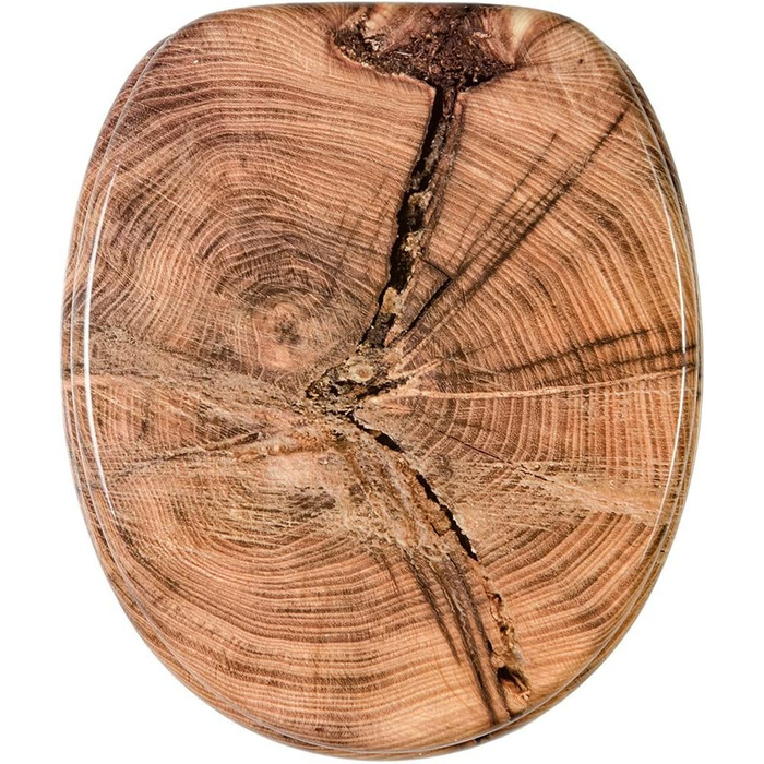 Сидіння для унітазу Sanilo з мікроліфтом Old Tree, міцна кришка, легкий монтаж