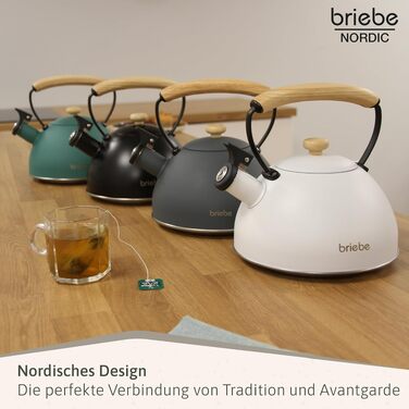Чайник для води briebe Nordic з whistles-сигналом, 2.3л, нержавіюча сталь, для індукційних, газових та електричних плит, чорний