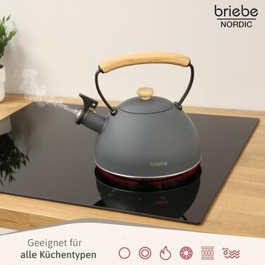 Тостер Briebe Nordic Set 2-слотовий з широкими прорізами, підставка для булочок, 6 рівнів підсмажування + Електричний чайник індукційний 2.3л, нержавіюча сталь, без BPA, Набір для сніданку в скандинавському дизайні (Сірий)