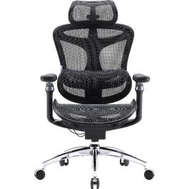 Крісло офісне Sihoo DORO C300 Pro Mesh Black