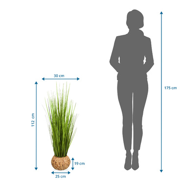 Штучна рослина CORTADERIA Дика трава / Pampas Grass 112 см зелений hjh ОФІС