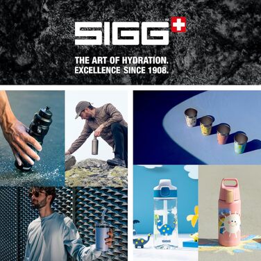 Сталева спортивна пляшка для води Sigg Shield ONE для газованих напоїв, герметична, BPA-free, 1 л, Brushed