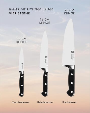 Набір кухонних ножів ZWILLING Professional S, 3 предмети (10 см, 16 см, 20 см), Made in Germany