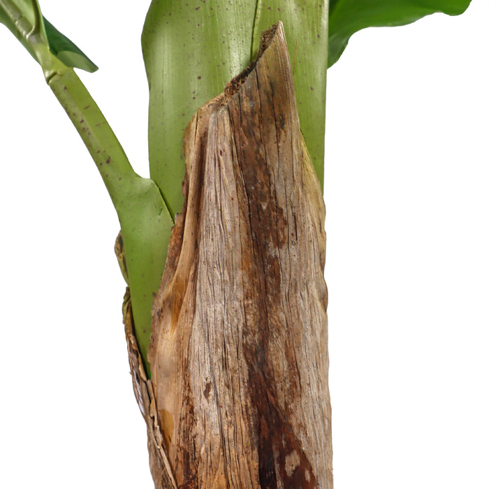 Штучний банан (декоративне дерево) BANANE I, 150 см, зелений, серія OFFICE