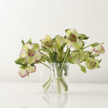 Ваза Iittala Aalto 160 мм прозора скляна