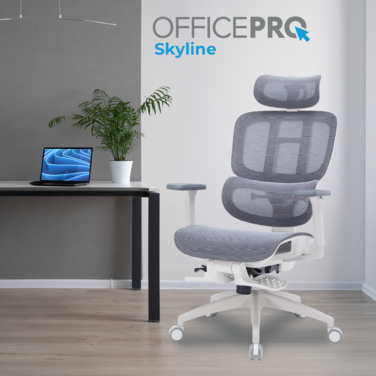 Крісло офісне OfficePro Skyline OC750-W-DG-DG