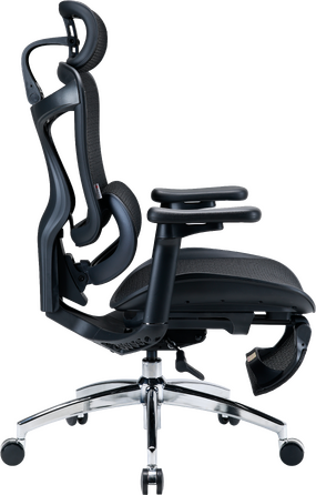 Крісло офісне з підставкою для ніг Sihoo DORO C300L Mesh Black with footrest