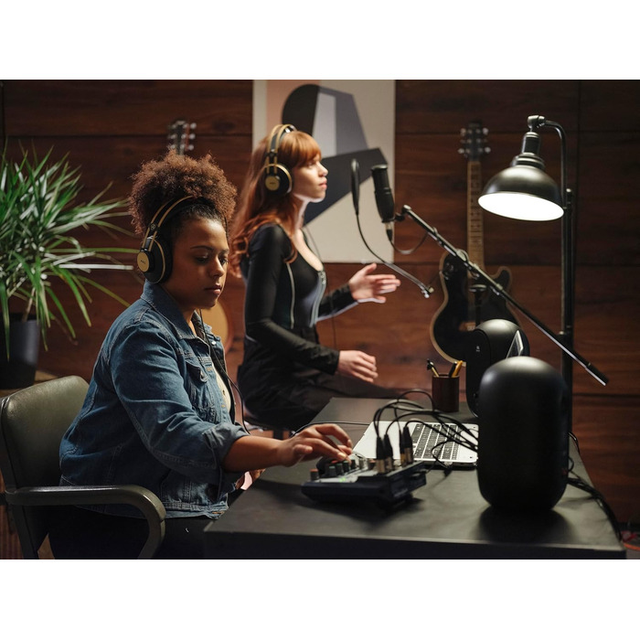 Студійний конденсаторний мікрофон AKG P120, чорний