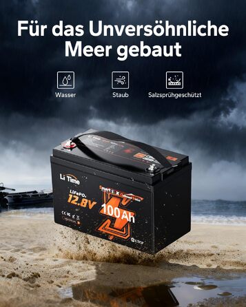 LiFePO4 акумулятор LiTime 12V 100Ah з Bluetooth для кемпінгу, житлових будинків та електромоторів човнів