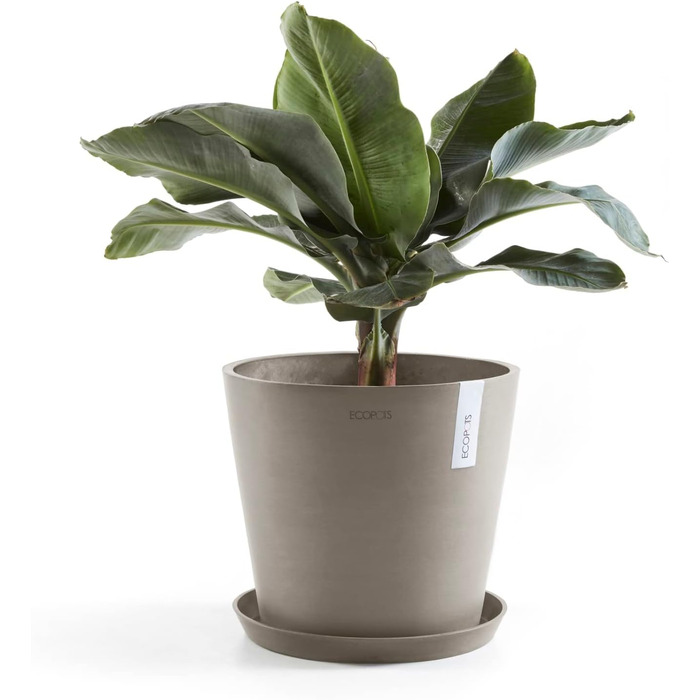 Квітчар Ecopots Taupe: великий горщик для квітів, 40x40x34.8 см