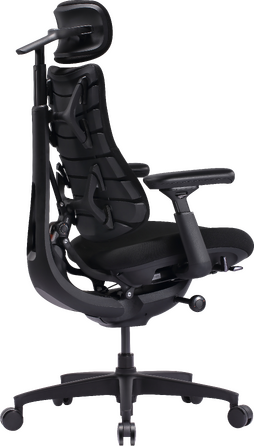 Крісло офісне ергономічне LiberNovo Omni SE Obsidian 48 см