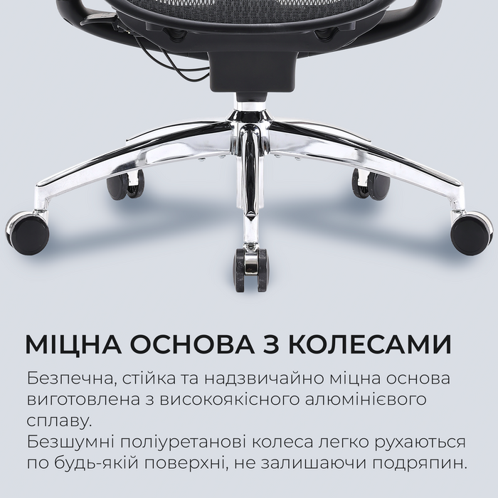 Крісло офісне Sihoo DORO C300 Pro Mesh Black
