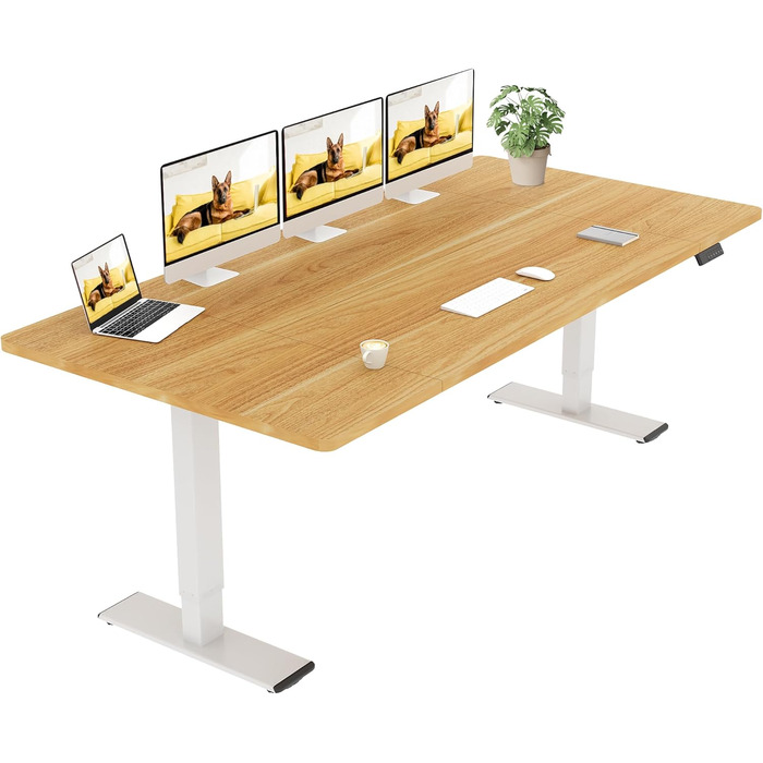 Регульований стіл Sanodesk 160x70 см - електричний підйомний стіл, Dualmotor, до 90 кг, ергономічний робочий простір (чорний+)