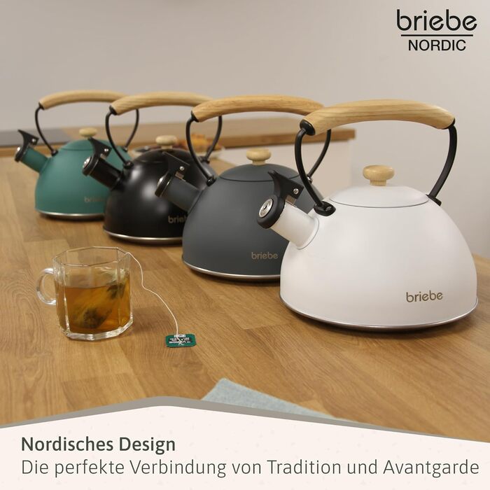 Чайник для води briebe Nordic з whistles-сигналом, 2.3л, нержавіюча сталь, для індукційних, газових та електричних плит, чорний