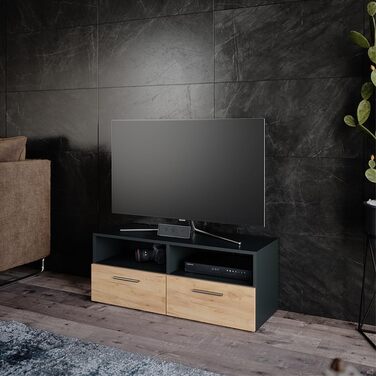 Тумба під телевізор Vicco Diego, антрацит/дуб золото, 95x38 см