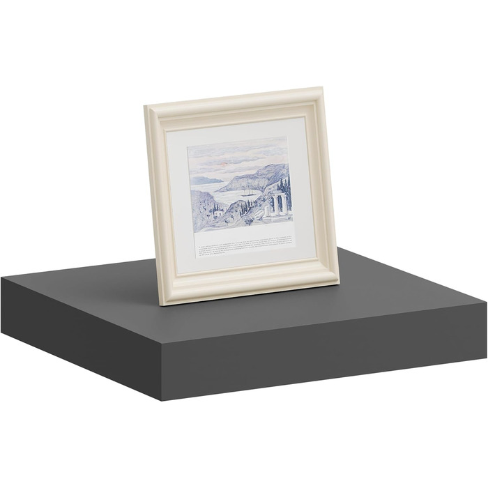 Полиця настінна WOLTU Wandboard RG9315sz для CD, DVD, книг, офісу, вітальні, спальні, кухні - дерев'яна